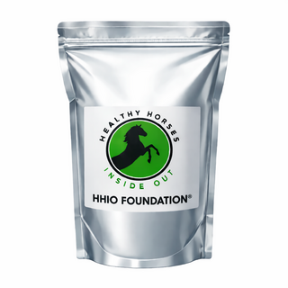 HHIO Foundation ®